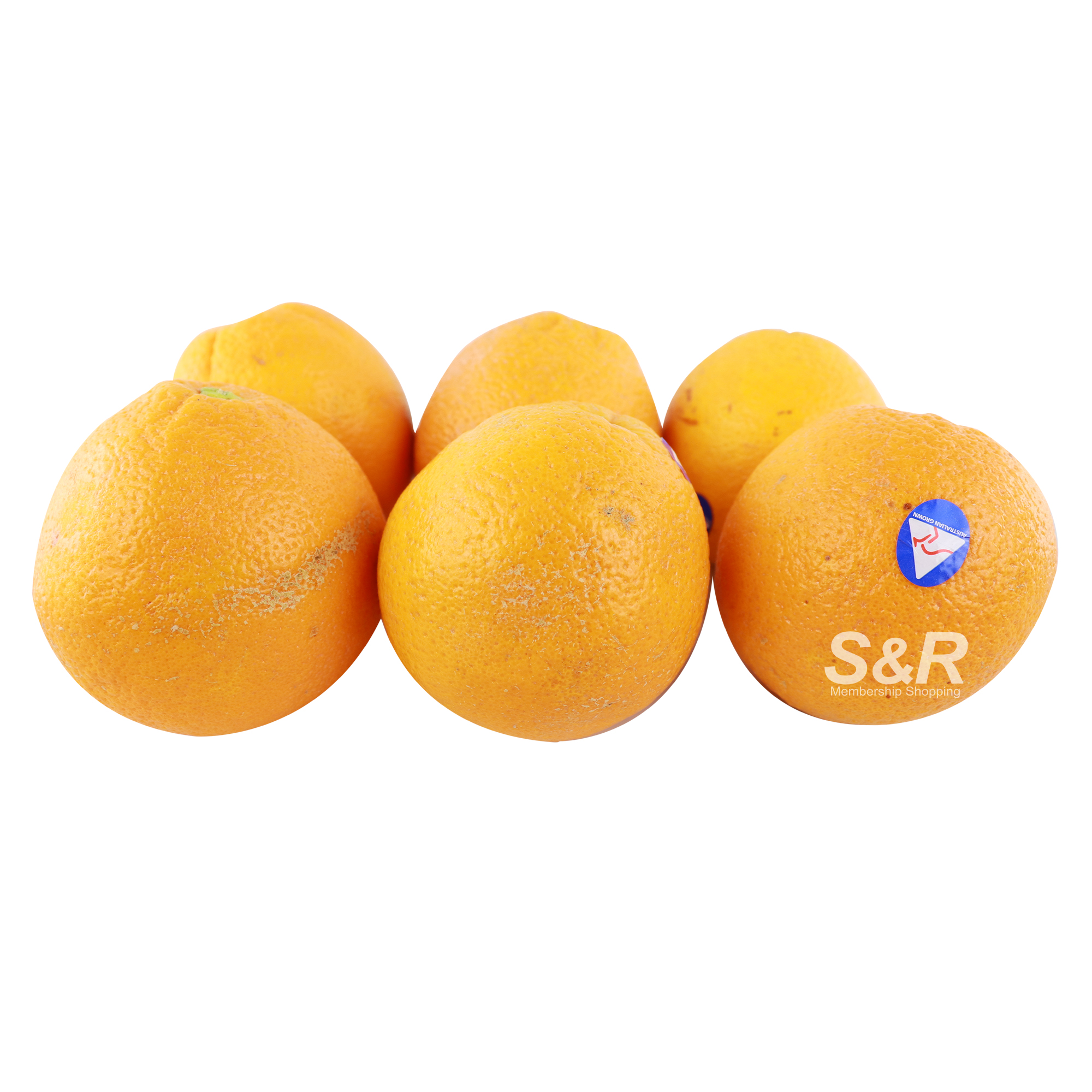 S&R Navel Orange 6pcs S&R Navel Orange 6pcs